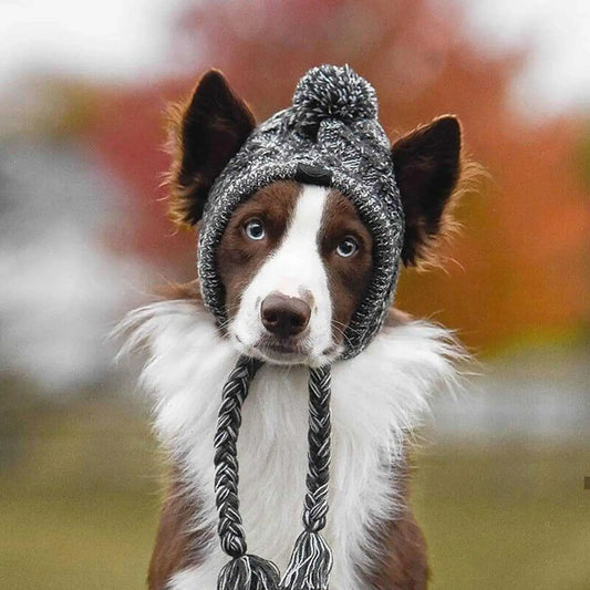 Winter Dog Warm Knitted Hat with Ear Holes