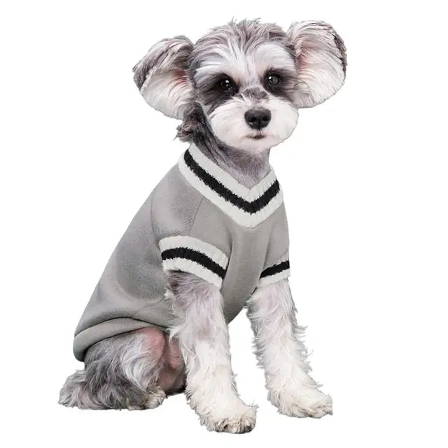 College Dog Sweater Winter Warm