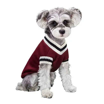 College Dog Sweater Winter Warm