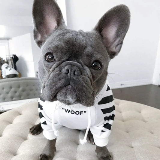 Woof White Pup Hoodie Sweater