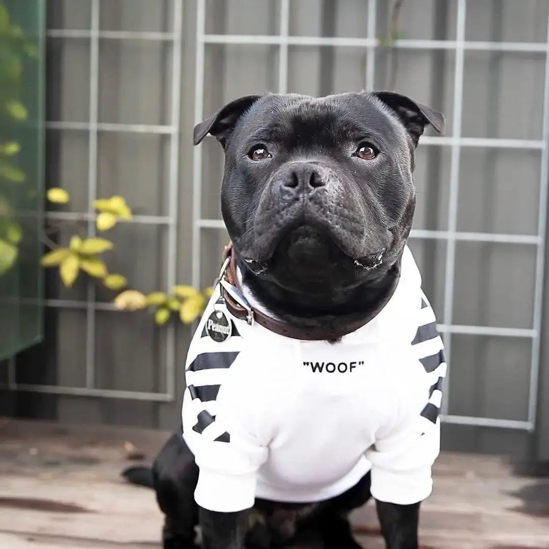 Woof White Pup Hoodie Sweater