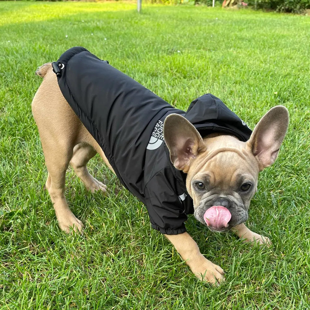 THE DOG FACE Premium Reflective Dog Jacket