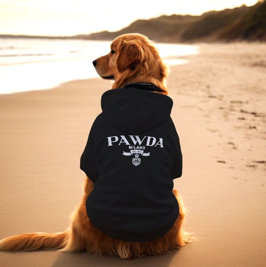 PAWDA Premium Reflective Dog Hoodie