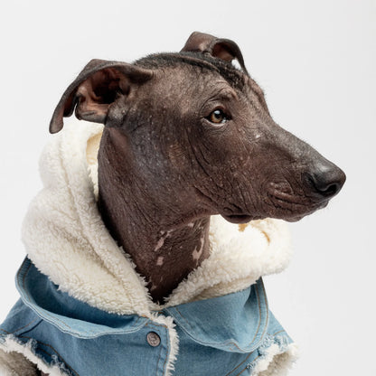 Premium Denim Dog Jacket